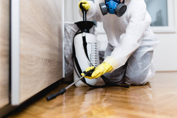 Garden Grove, CA Pest Control Pros