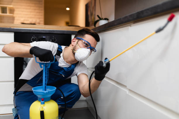 Best Affordable Pest Control Services  in Garden Grove, CA
