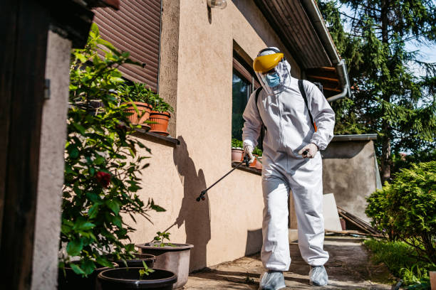 Best Cockroach Control Services  in Garden Grove, CA