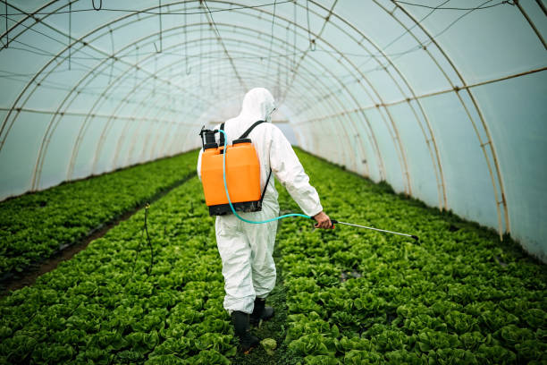 Professional Pest Control in Garden Grove, CA