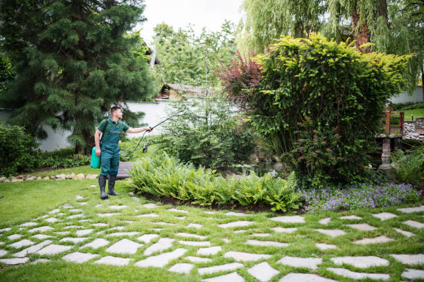 Best Bird Control  in Garden Grove, CA
