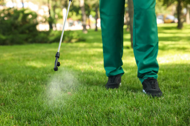 Wasp Removal Services in Garden Grove, CA