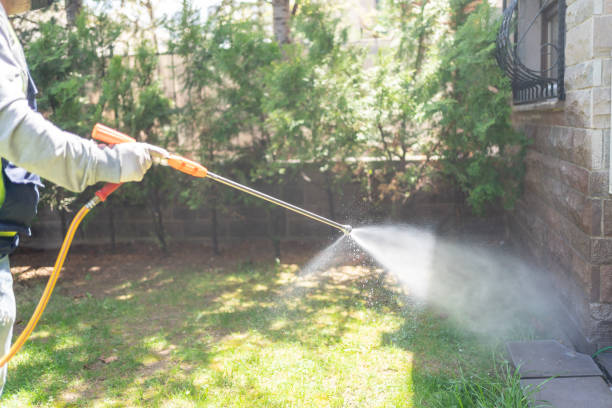 Best Flea Control Services  in Garden Grove, CA