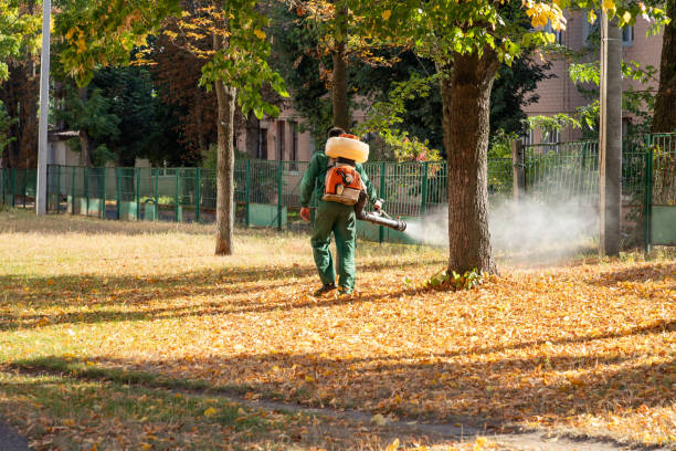 Best Wasp Removal Services  in Garden Grove, CA