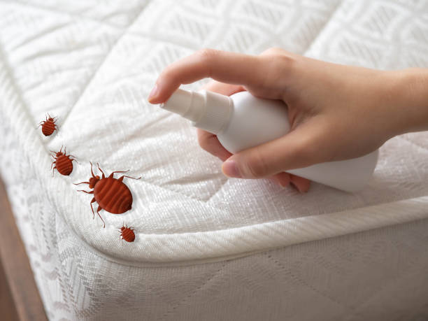 Best Best Pest Control Companies  in Garden Grove, CA