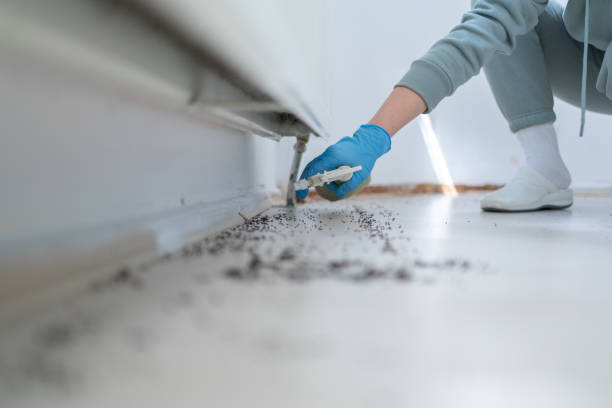 Best Pest Control for Businesses  in Garden Grove, CA