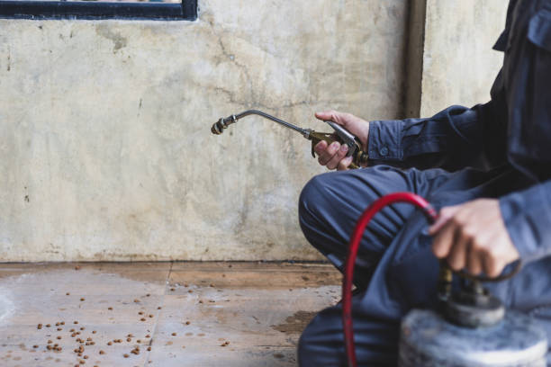 Best Affordable Pest Control Services  in Garden Grove, CA